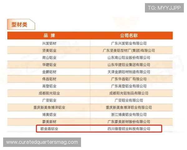 欧博abg中文站安全登录指南与账号保护措施全方位解析